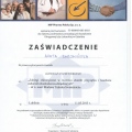 Powiększ obraz: certificate 13