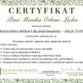 Powiększ obraz: certificate 7