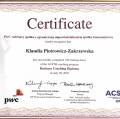 Powiększ obraz: certificate 7