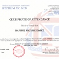 Powiększ obraz: certificate 2