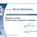 Powiększ obraz: certificate 6