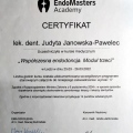 Powiększ obraz: certificate 2