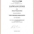 Powiększ obraz: certificate 6