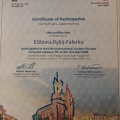 Powiększ obraz: certificate 5