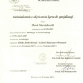 Powiększ obraz: certificate 21