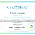 Powiększ obraz: certificate 6