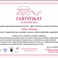 Powiększ obraz: certificate 2