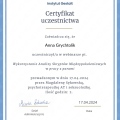 Powiększ obraz: certificate 4