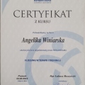 Powiększ obraz: certificate 9