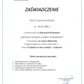 Powiększ obraz: certificate 24