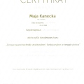 Powiększ obraz: certificate 7