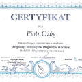 Powiększ obraz: certificate 4