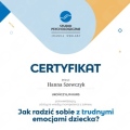 Powiększ obraz: certificate 11