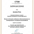 Powiększ obraz: certificate 2