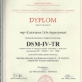 Powiększ obraz: certificate 2