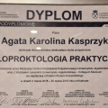 Powiększ obraz: certificate 49