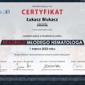 Powiększ obraz: certificate 364