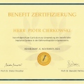Powiększ obraz: certificate 11
