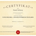 Powiększ obraz: certificate 2
