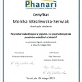 Powiększ obraz: certificate 6