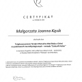 Powiększ obraz: certificate 3