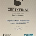 Powiększ obraz: certificate 6