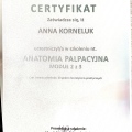 Powiększ obraz: certificate 15