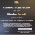 Powiększ obraz: certificate 48