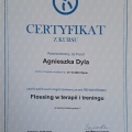 Powiększ obraz: certificate 6