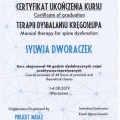 Powiększ obraz: certificate 8