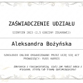 Powiększ obraz: certificate 4