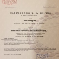 Powiększ obraz: certificate 3