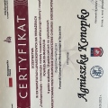 Powiększ obraz: certificate 3