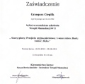 Powiększ obraz: certificate 4
