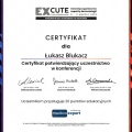 Powiększ obraz: certificate 334