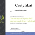 Powiększ obraz: certificate 3