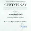 Powiększ obraz: certificate 1