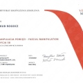 Powiększ obraz: certificate 9