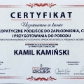 Powiększ obraz: certificate 3