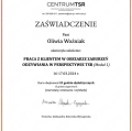 Powiększ obraz: certificate 6