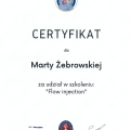 Powiększ obraz: certificate 11