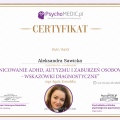 Powiększ obraz: certificate 4