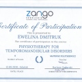 Powiększ obraz: certificate 8