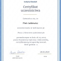 Powiększ obraz: certificate 8
