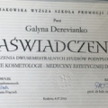 Powiększ obraz: certificate 1