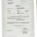 Powiększ obraz: certificate 19