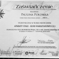 Powiększ obraz: certificate 1