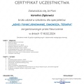 Powiększ obraz: certificate 2