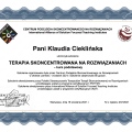 Powiększ obraz: certificate 2
