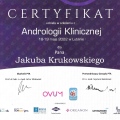 Powiększ obraz: certificate 2